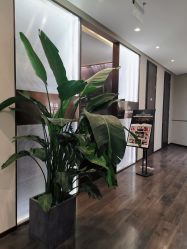 -崇尚GAVIN STYLE臻选