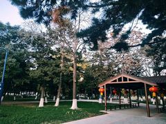 -东北大学(南湖校区)