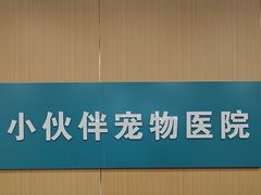 -小伙伴宠物医院•急重症转诊中心·老年专科·犬猫全科(北大街总院)
