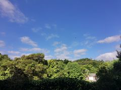 -深圳国际园林花卉博览园