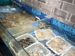 -小时候焗海鲜(鄞州万达店)