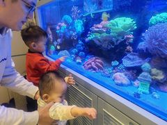 -KIDults童伴儿亲子餐厅(达美中心广场店)