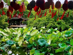 -绍兴鲁迅故里·沈园景区