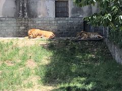 -西安秦岭野生动物园