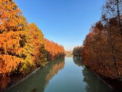 -上海海湾国家森林公园