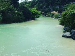 -吴淞炮台湾湿地森林公园烧烤区