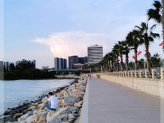 -宝安西湾红树林湿地公园