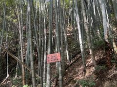 -仙霞关景区