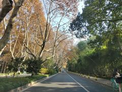 -马灯部落·西湖边的创意山景餐厅(虎跑动物园店)