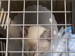 -美联众合动物医院·24h京西诊疗中心