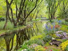 -上海共青森林公园