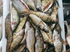 -畲乡一品鱼府土菜馆