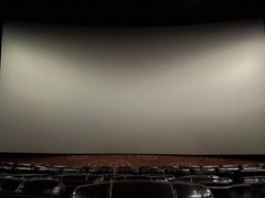 -万达影城(锦华万达广场IMAX店)