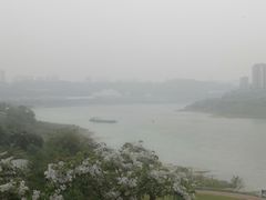 -大渡口区义渡公园