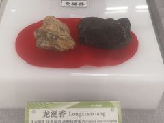 -北京中医药大学-中医药博物馆