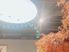 -雲蜀龙阁·金牌水煮鱼(方庄店)