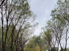 -东郊湿地公园