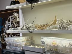 -海马体照相馆(上海月星环球港店)