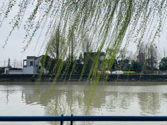 -高东镇樱花园