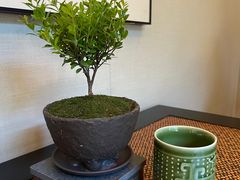 -王府茶楼茶宴·创意菜(大观园总店)