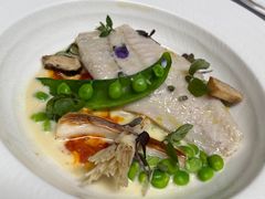 -蝶舍·MAISON PAPILLON