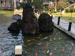 -天目湖山水园