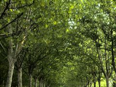 -春晖园度假酒店温泉