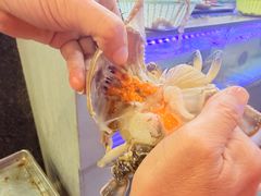 -金海湾海鲜排档(朱家尖店)