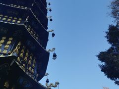 -哈尔滨极乐寺