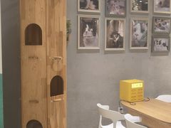 -藏猫猫咖啡主题馆(中央大道店)