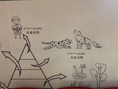 -瑞思英语·少儿英语启蒙(和平·国际商场示范校区)