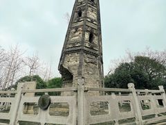 -上海佘山国家森林公园天马山园