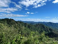 -大岭沟猕猴桃谷风景区