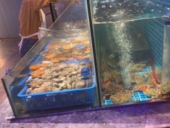 -曼格活海鲜·牛排自助(光明蓝鲸店)