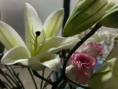 -么哈MOJAR(厦门云城万科里店)