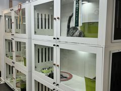 -青奢宠物·青奢猫舍