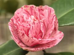 -宝岩生态观光园