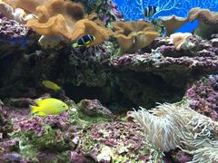 iphone_upload_pic-御唐府海珊瑚主题餐厅