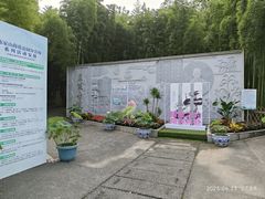 -陈家山荷花公园