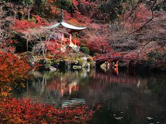 -醍醐寺