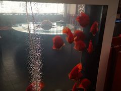 -悦盐·自贡盐帮菜(增光路店)