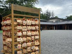 -北海道神宫