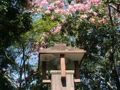 景点-风云岭森林公园