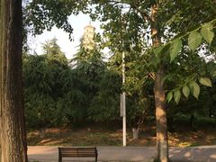 -祥源·阜阳生态乐园