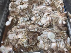 -卜蜂莲花(辽阳西路店)