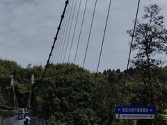 -川西竹海景区
