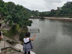 -满記土窑烧鷄波浪山莊