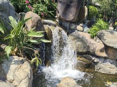 -厦门园林博览苑