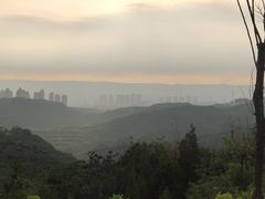 -五龙城郊森林公园