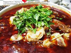 肥肠鱼-马虎风味菜馆(王府园小区店)